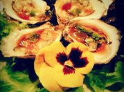 A picture of oysters with ponzu sauce