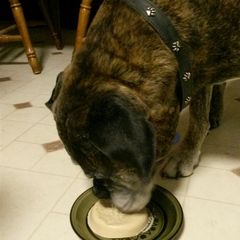 A picture of Doggie Ice Cream.