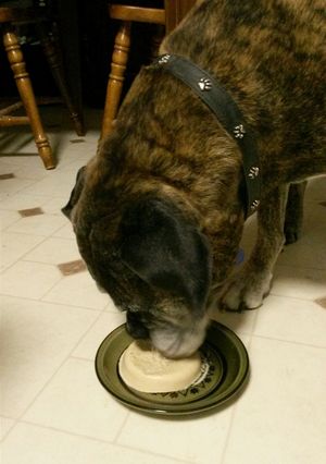 A picture of Doggie Ice Cream.
