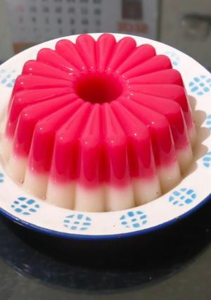 Foto resep Puding Nutrijel Merah Putih Vla Coklat