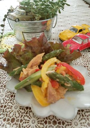 A picture of Red and Yellow Bell Pepper Stir Fry.