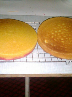 A picture of Madeira Cake.