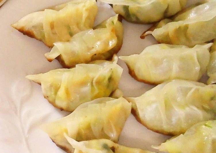 Easiest Way to Cook Yummy Basic Gyoza for Vegetarians