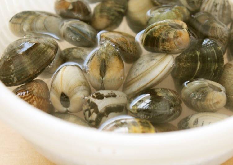 Step-by-Step Guide to Make Ultimate Easy! How to De-Sand Manila Clams or Surf Clams
