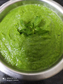 A picture of Panipuri chutney raw mango and mint chutney.