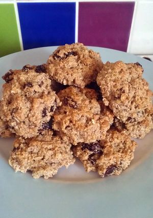 A picture of Vickys Oatmeal Raisin Cookies, GF DF EF SF NF.