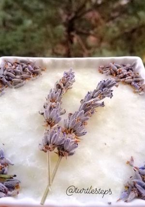 صورة لوصفة رز بحليب مع اللافندر