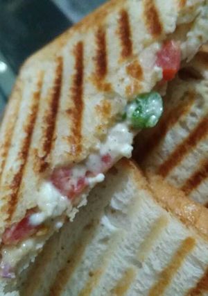 A picture of Veg grilled sandwich.