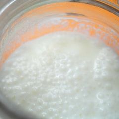 A picture of Easy Homemade Yogurt Bread Starter That Anyone Can Make.