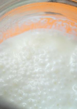 A picture of Easy Homemade Yogurt Bread Starter That Anyone Can Make.