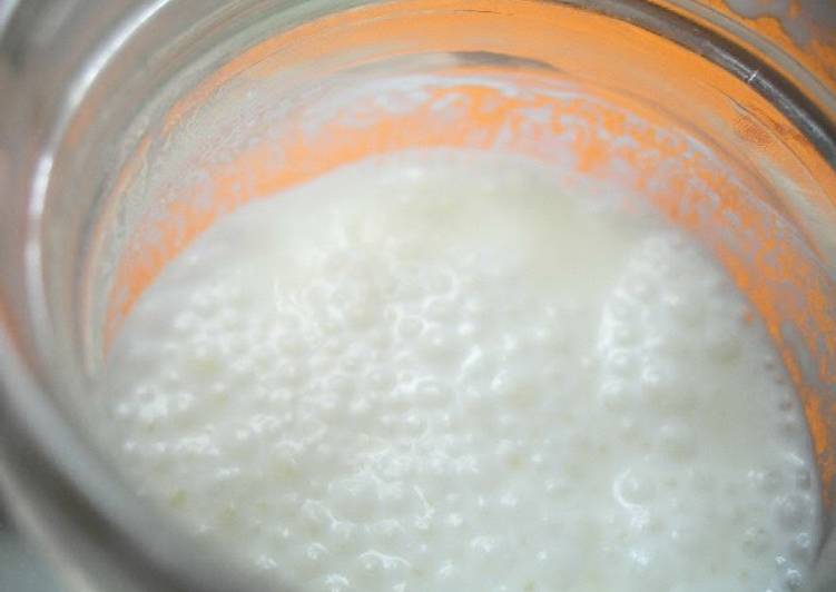 Recipe of Favorite Easy Homemade Yogurt Bread Starter That Anyone Can Make