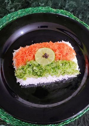 A picture of Steamed Rice & Salad.