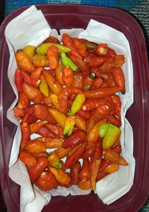 Foto resep Cara menyimpan cabe agar tahan lama