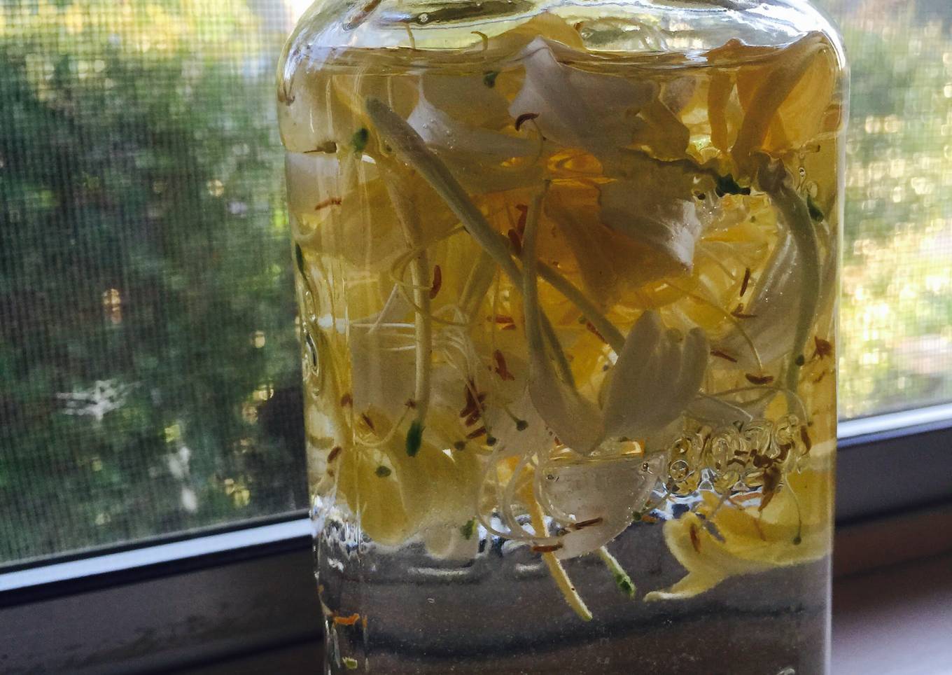 Honeysuckle Tincture