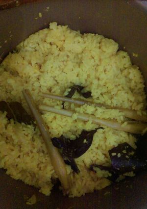 Foto resep Nasi kuning magic com