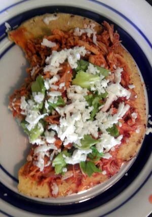 A picture of Tinga.