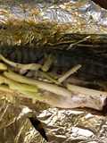 Grilled Pacific Mackerel