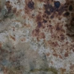 A picture of Aloo Bathuwa paratha.