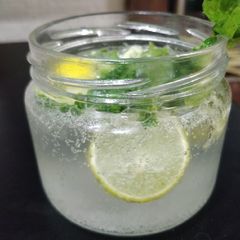 Virgin Mojito A picture of Virgin Mojito.