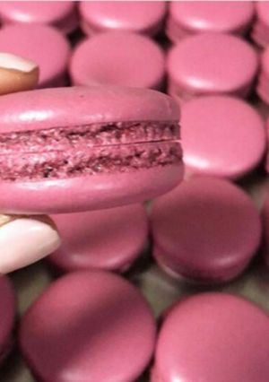 A picture of Macaroon.