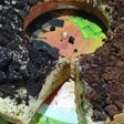 Bolu pisang oreo