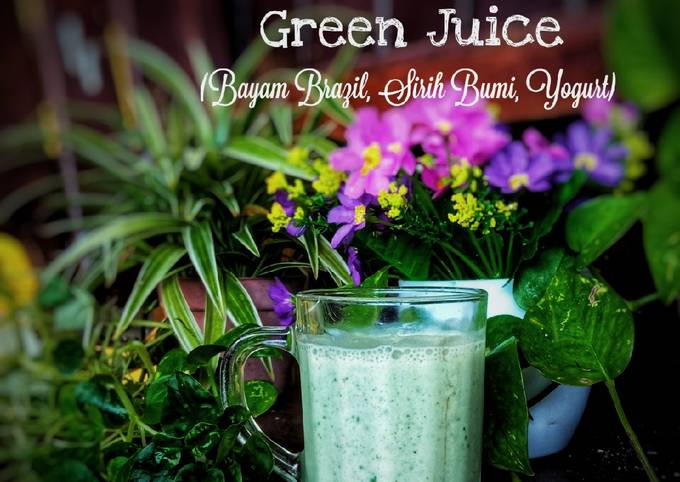 Resep Green Juice (Bayam Brazil, Sirih Bumi, Yogurt), Bikin Ngiler
