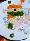 Healthy tricolor vegetable salad with Indian National Flag Tirang