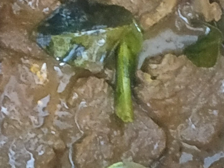 Cara Gampang Menyiapkan Resep Bistik Daging Sapi untuk Anak Anti Ribet, Bisa Manjain Lidah