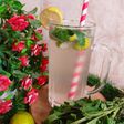 Virgin Mojito