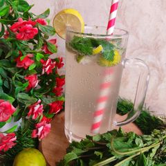 A picture of Virgin Mojito.