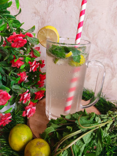 A picture of Virgin Mojito.