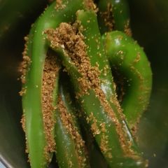 Masala chilli A picture of Masala chilli.