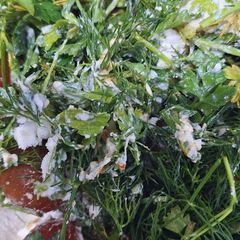 A picture of Keto salad.