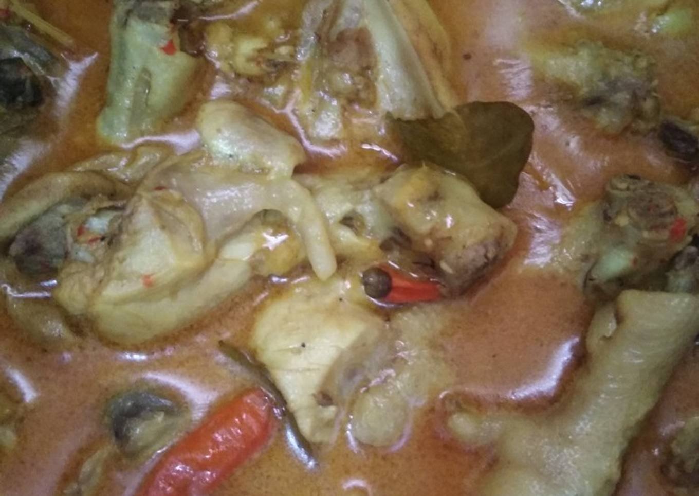 Ayam sayur