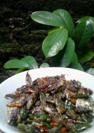 Foto resep Oseng Ikan Peda Cabe Ijo