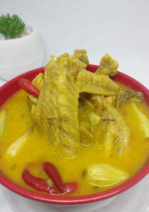Foto resep Opor ayam kampung