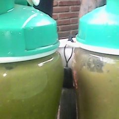 Malabar spinach and melon smoothie A picture of Malabar spinach and melon smoothie.