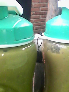 A picture of Malabar spinach and melon smoothie.