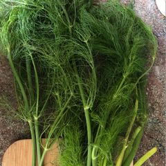 A picture of Fennel pesto - vegan.
