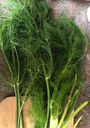 A picture of Fennel pesto - vegan.