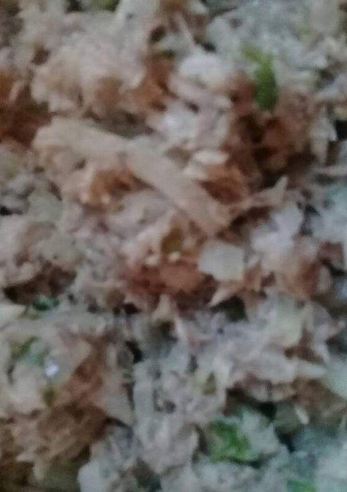 Una foto de Jurel tipo ceviche
