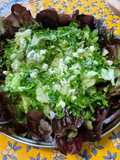 Salade feuille de chêne au persil et feta