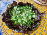 Salade feuille de chêne au persil et feta