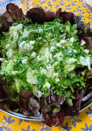 Une photo de Salade feuille de chêne au persil et feta