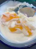Dry Mango Yoghurt