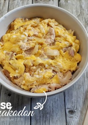 Foto resep Japanese Oyakodon (Rice Bowl Chicken and Egg)