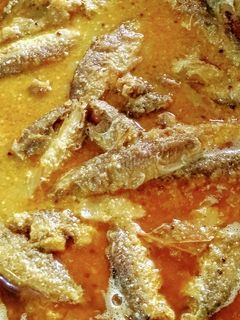 मछली (Machli recipe in Hindi) रेसिपी मुख्य फोटो