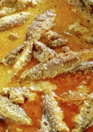मछली (Machli recipe in Hindi) रेसिपी मुख्य फोटो
