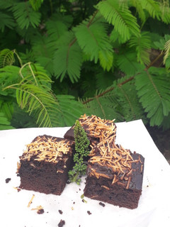 Foto resep Brownies Panggang
