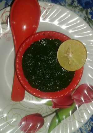 A picture of Hre dhaniya or podena ke hre bhare chutney.
